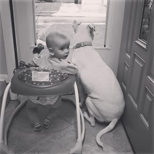 Meet your Posher, Michael